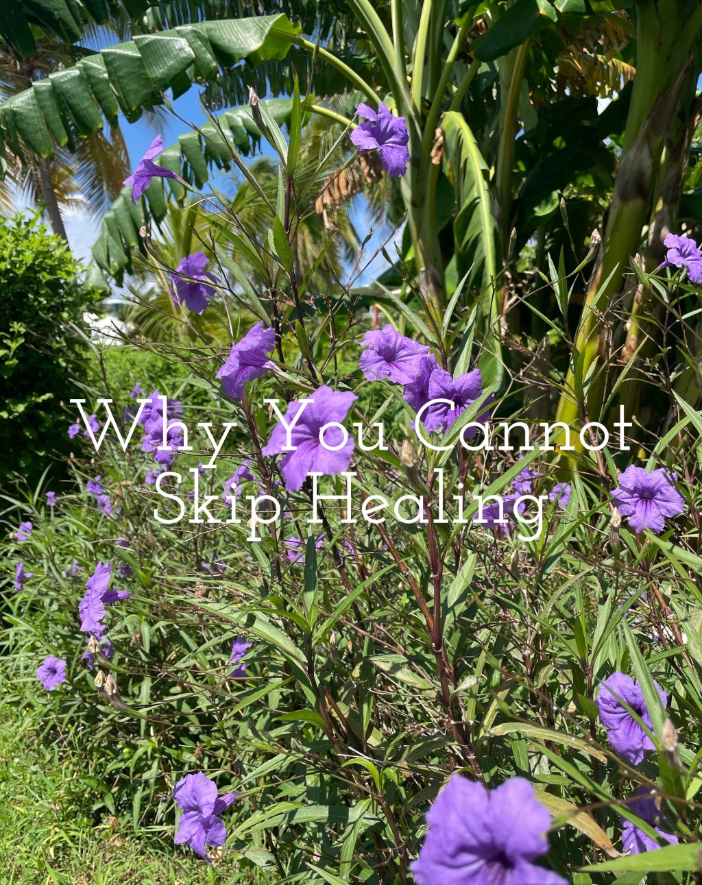 Why You Cannot Skip&nbsp;Healing