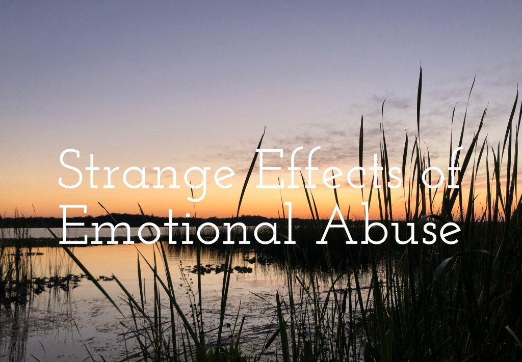 Strange Effects of Emotional&nbsp;Abuse