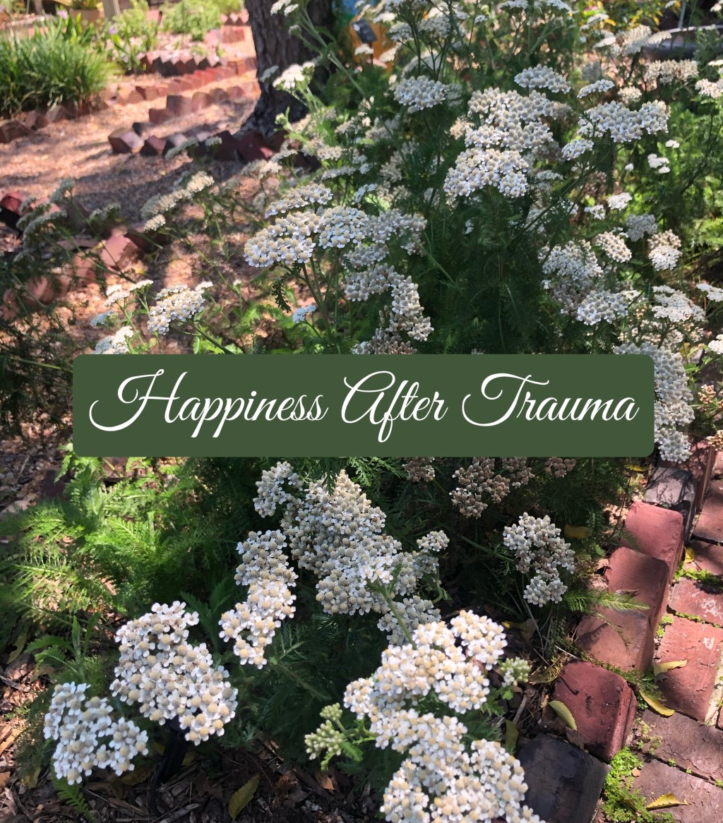 Happiness After Trauma