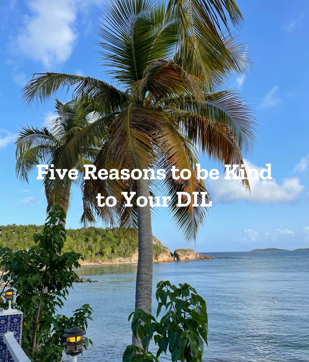 Five Reasons to be Kind to Your&nbsp;DIL