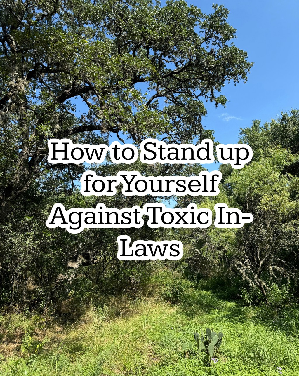 How to Stand up for Yourself Against Toxic&nbsp;In-Laws
