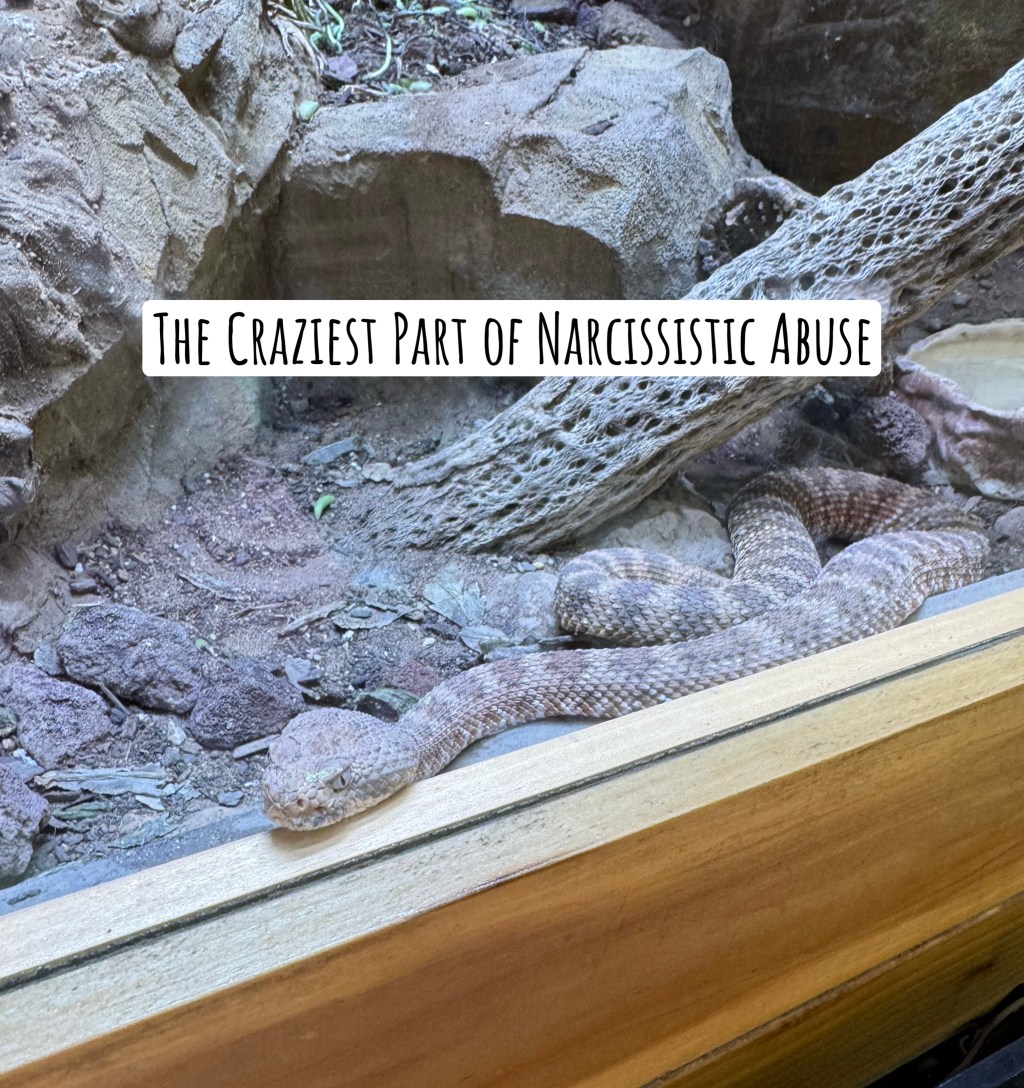 The Craziest Part of Narcissistic&nbsp;Abuse